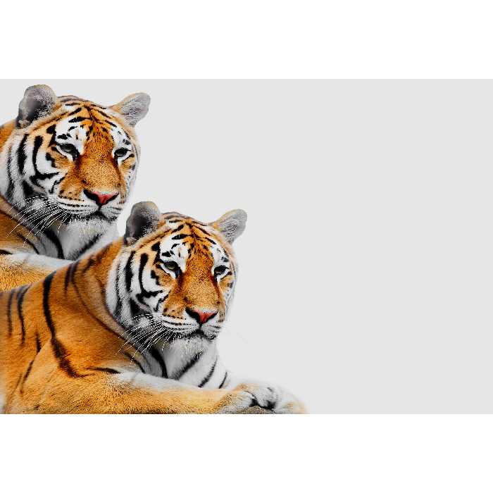 تابلو شاسی طرح ببر مدل T2162