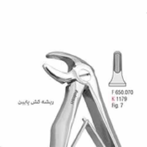 فورسپس ریشه کش پایین نازک fig:33M - فروشگاه تخصصی دندانپزشکی سپیرا