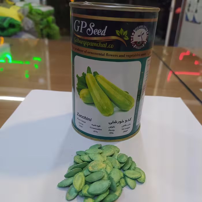 بذر فله ای کدو خورشتی 