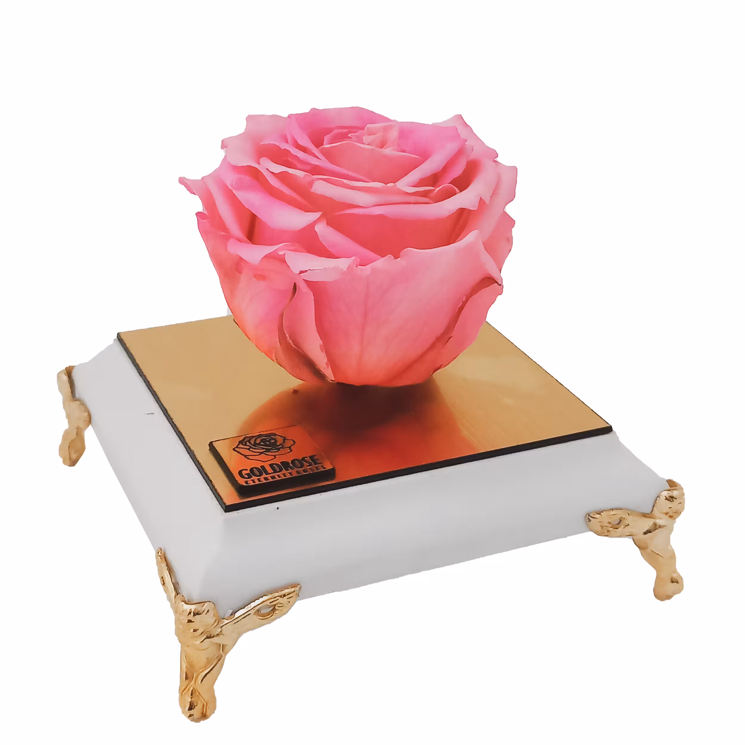 گل رز جاودان مدل PINK 164
