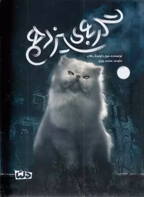گربه‌ی سیزدهم