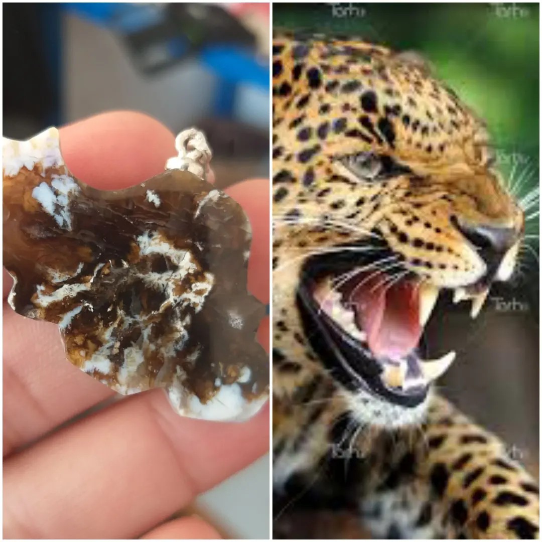 عقیق مصور یوزپلنگ در نقشه ایران کار تکرار نشدنی 