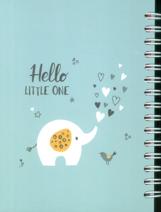 دفتر برنامه ریزی (پلنر قدیما،کد B02-2)،(سیمی) - ناشربوک | خرید آنلاین کتاب