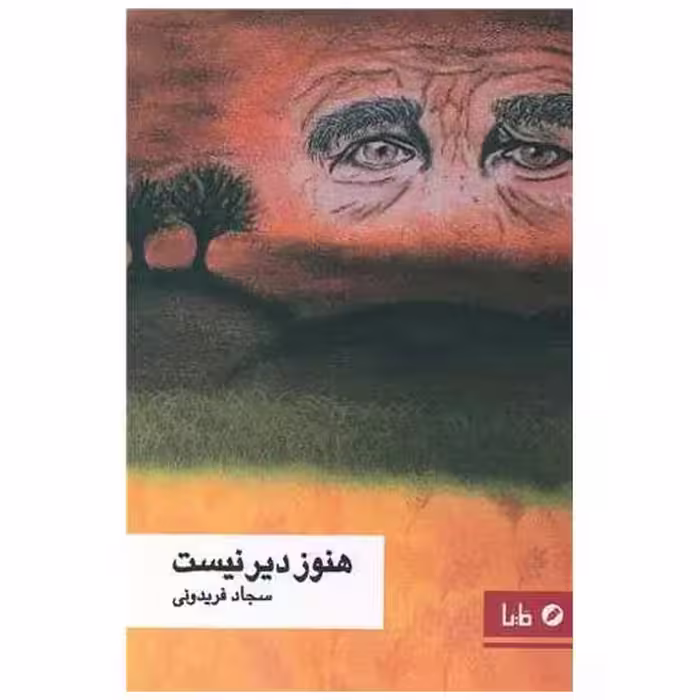 کتاب هنوز دیر نیست اثر سجاد فریدونی