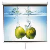 رفلکتا reflecta پرده نمایش ویدئو پروژکتور رفلکتا reflecta سقفی برقی 300 * 300