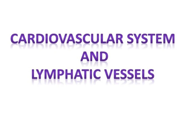 جزوه سیستم قلبی عروقی و عروق لنفاوی - 53 صفحه - کتابخانه مجازی واتیکان