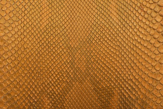 خرید و دانلود عکس ShutterStock-2014-Backgrounds & Textures کد 53551 | پیک فاکس | Pic Fox