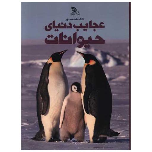 کتاب دانشنامه مصور عجایب دنیای حیوانات (رحلی)(گالینگور) اثر تام جکسون
