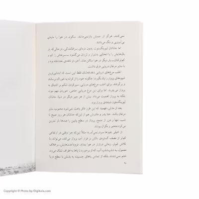 کتاب جاناتان مرغ دریایی اثر ریچارد باخ