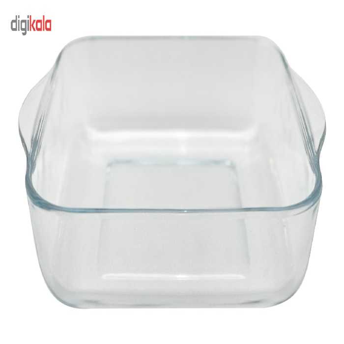 ظرف نگهدارنده پاشاباغجه مدل بورجام 59034