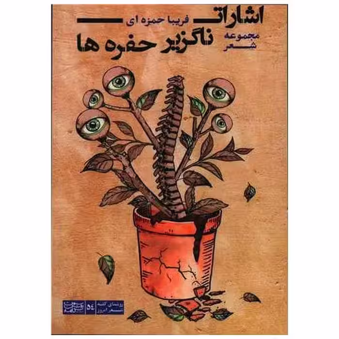 کتاب اشارات ناگزیر حفره ها اثر فریبا حمزه ای
