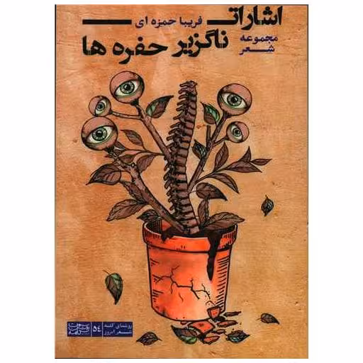 کتاب اشارات ناگزیر حفره ها اثر فریبا حمزه ای