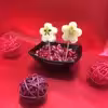 پیاله لومینارک مدل کوادراتو بسته 6 عددی