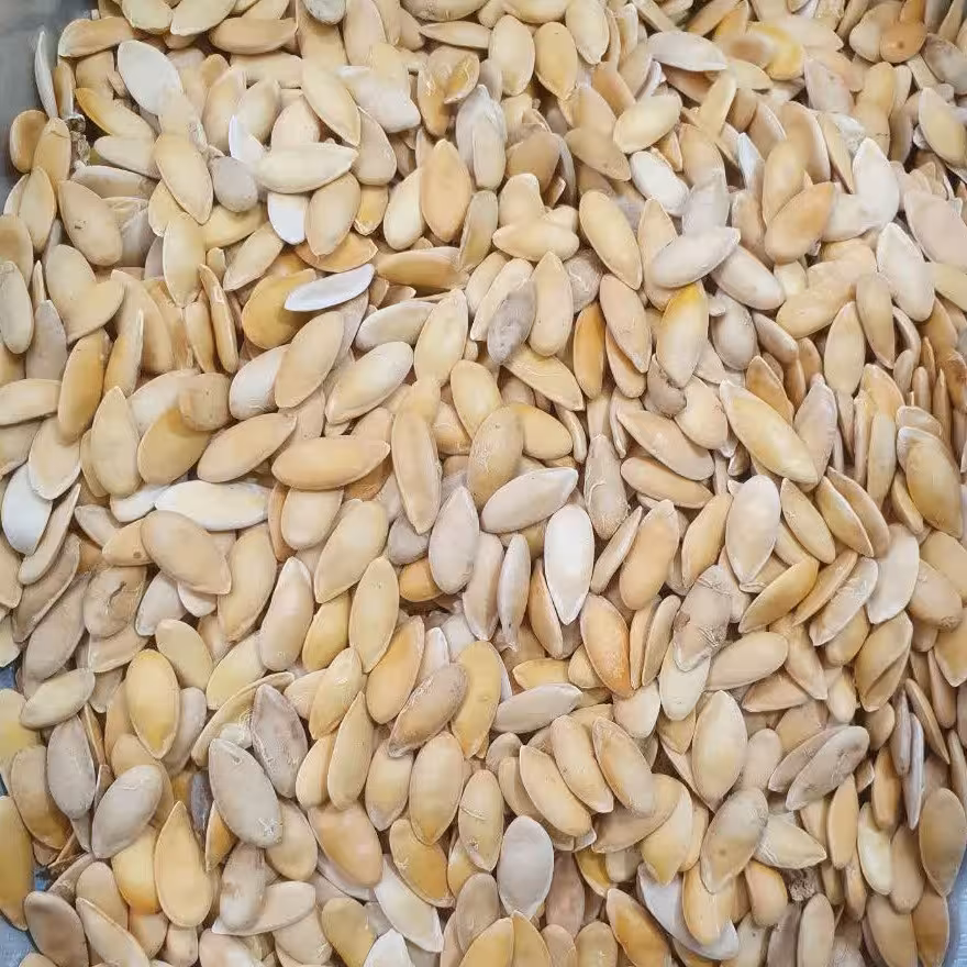 بذر خربزه (تخم خربزه) خوراکی - 500 گرم