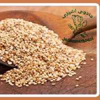 کنجد سفید 100 گرمی شیرینی آشپزی ادویه