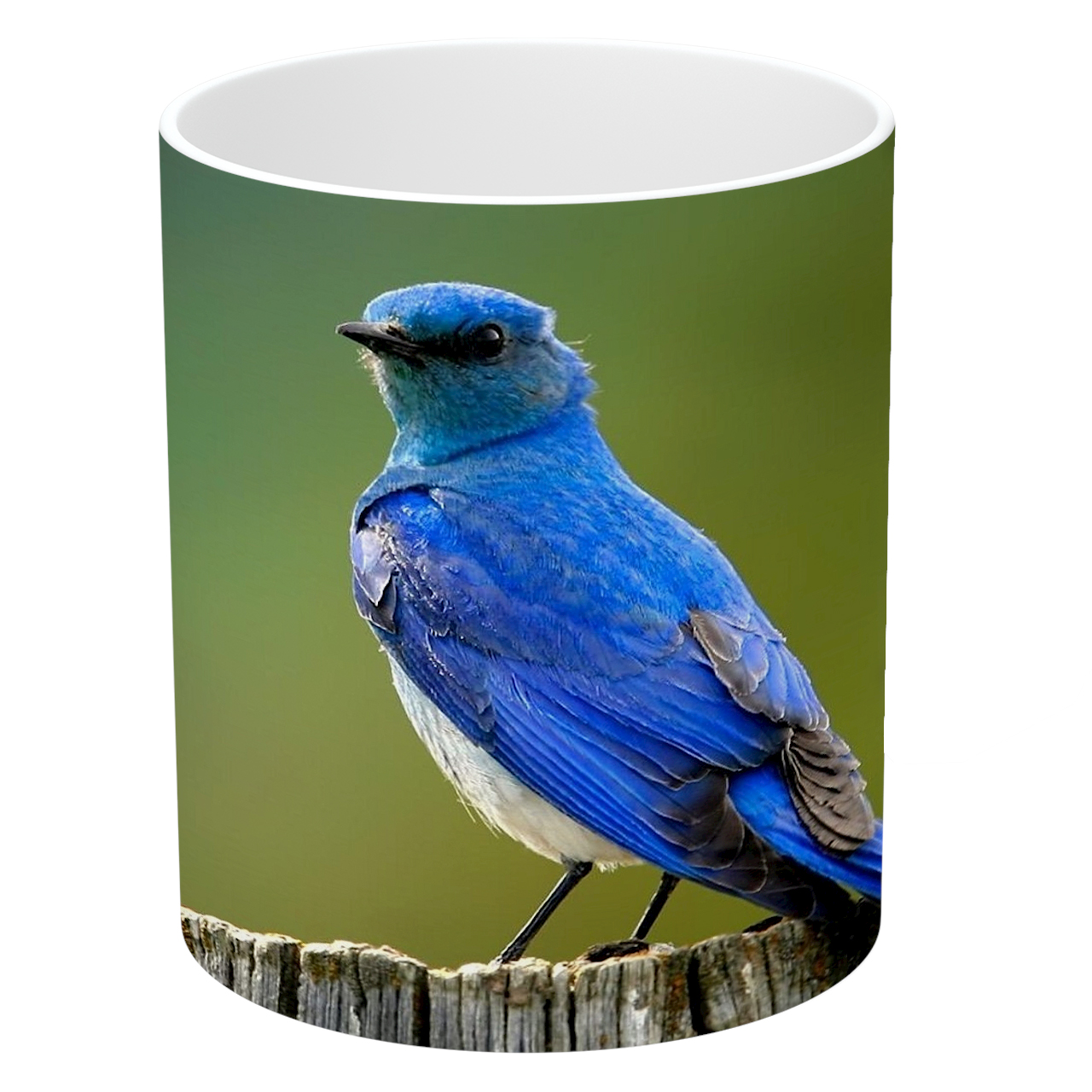 ماگ طرح پرنده مدل NI674