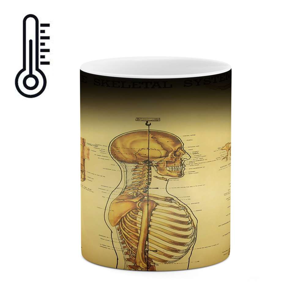 ماگ حرارتی طرح رشته پزشکی و پرستاری  مدل mgph10655