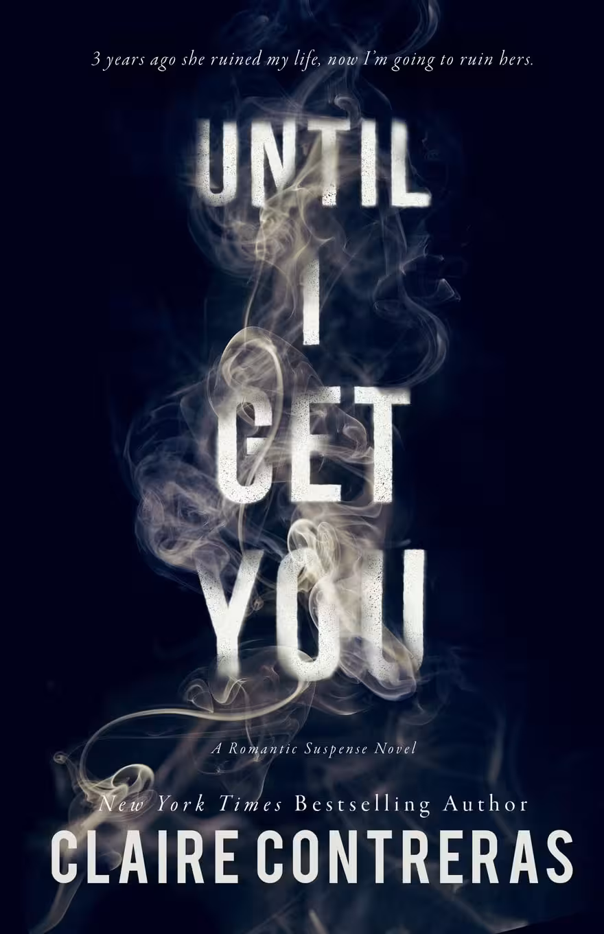 Until I Get You (Fairview Hockey Book 1)