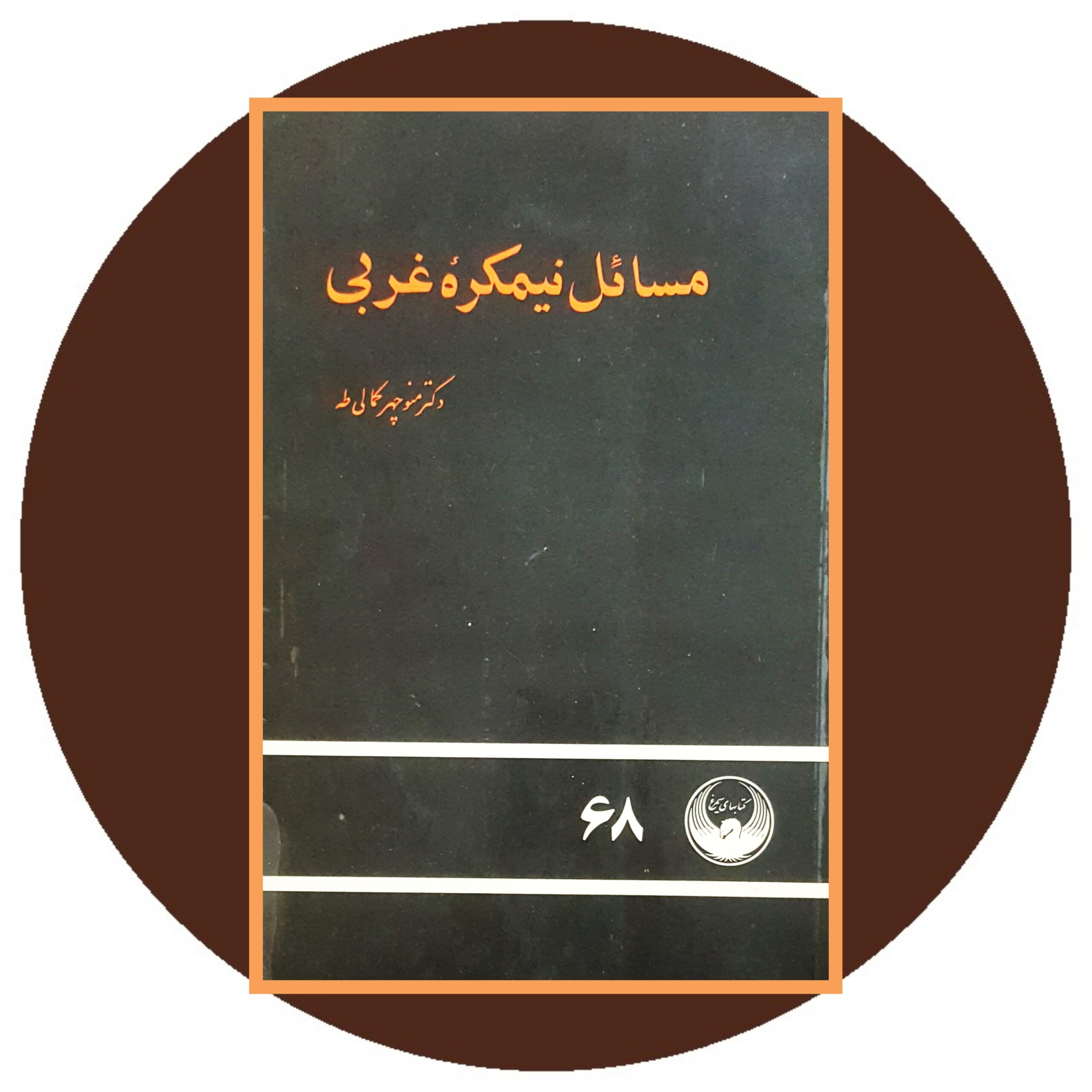 کتاب مسائل نیمکره غربی- خرید ازکتاب دایره قهوه ای