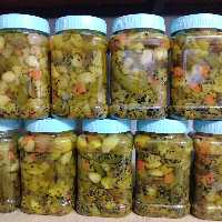 ترشی سبزیجات نگینی