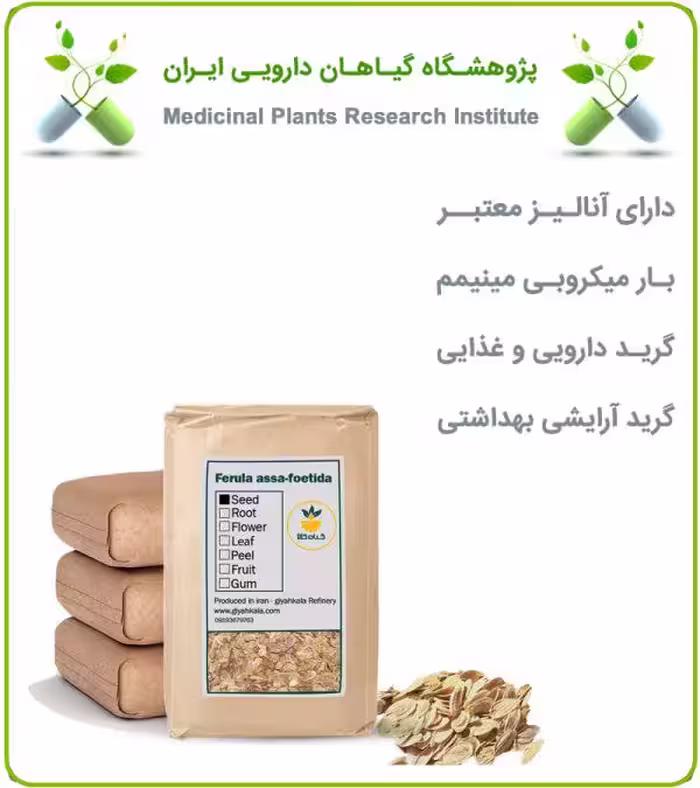 بذر آنغوزه خشک فله