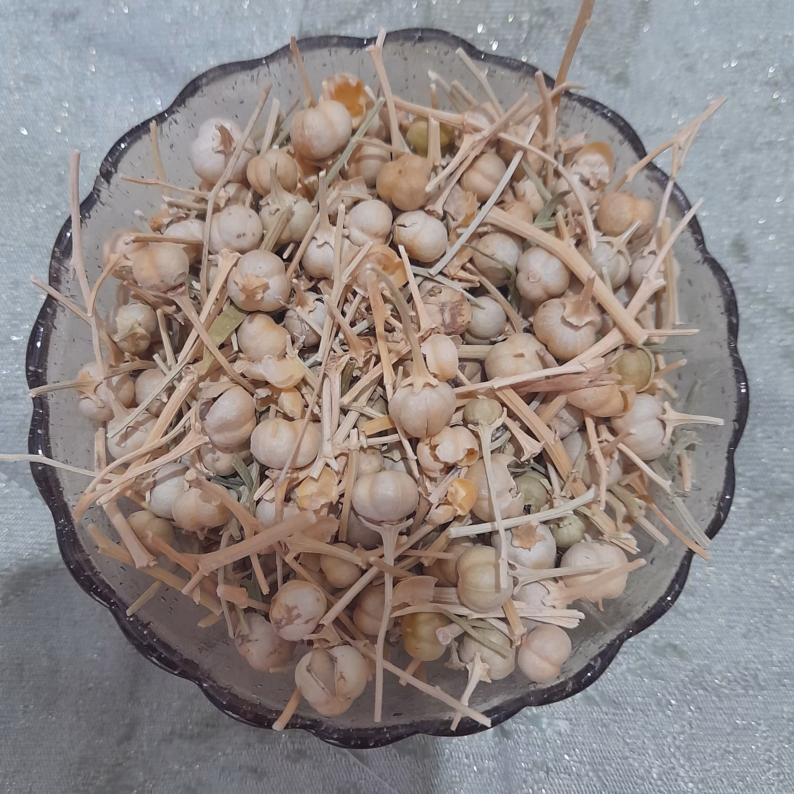 اسفند دانه