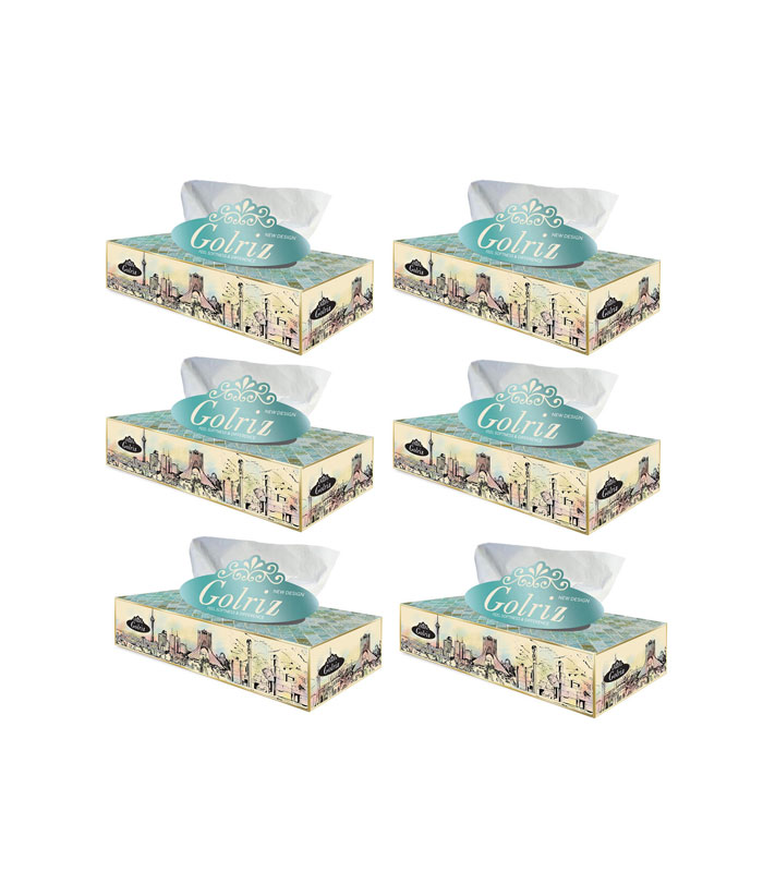 دستمال کاغذی 100 برگ گلریز مدل تهران بسته 6 عددی