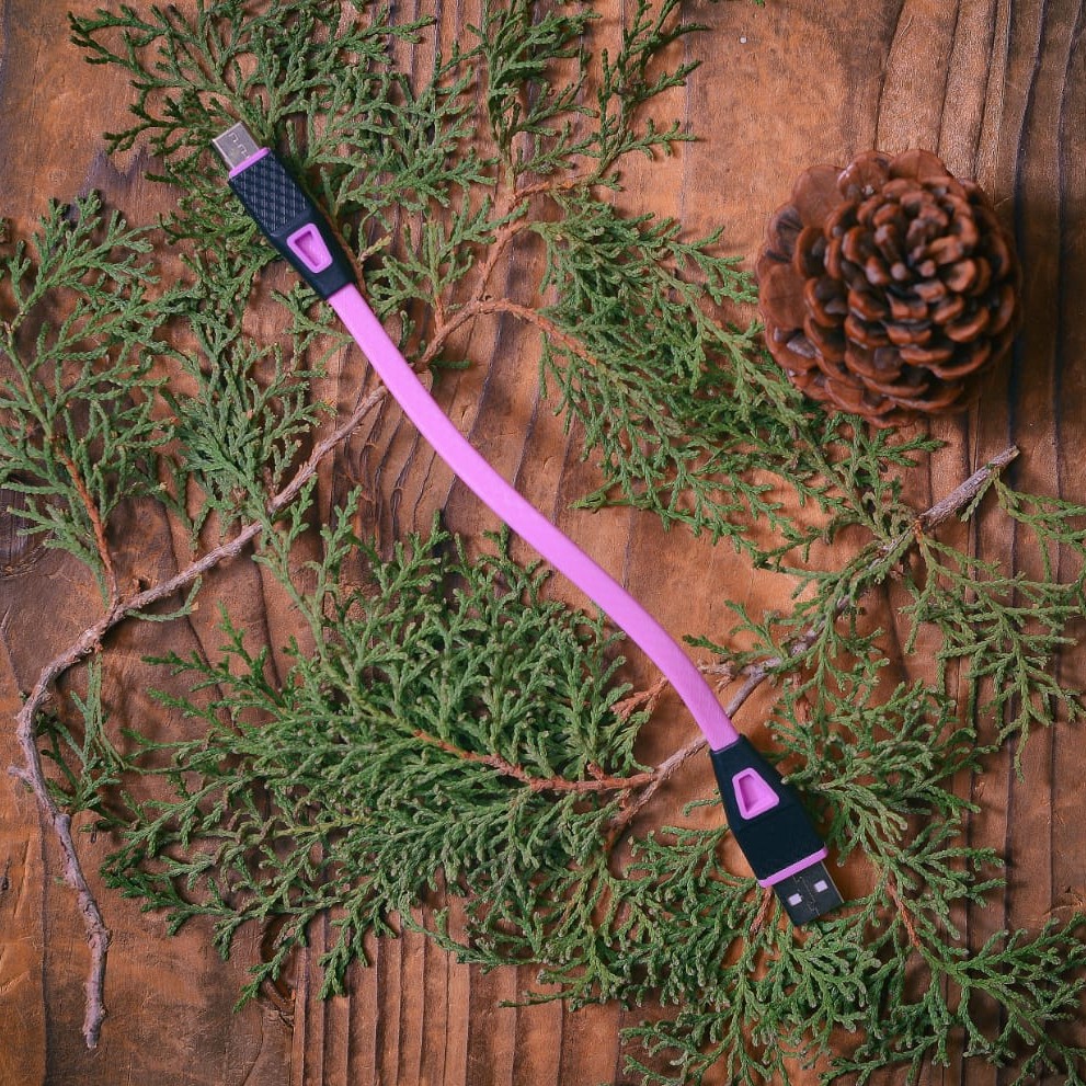 کابل پاور بانک 