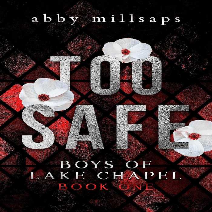 Too Safe (Boys of Lake Chapel Book 1)