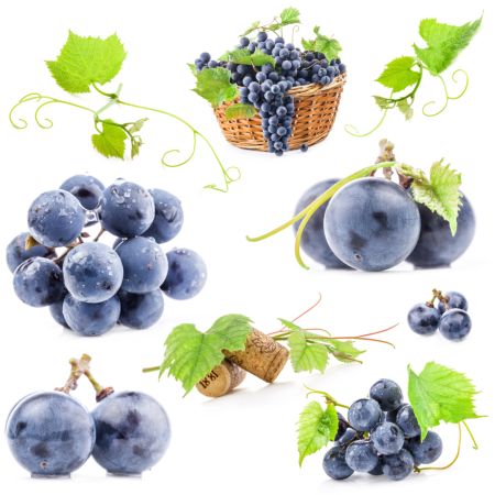 خرید و دانلود عکس Food-Part-15 کد 19140 | پیک فاکس | Pic Fox