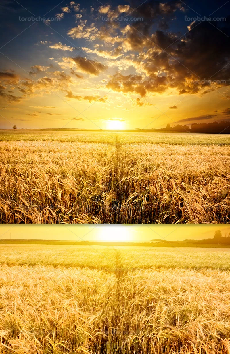 عکس طلوع خورشید | گرافیک با طعم تربچه