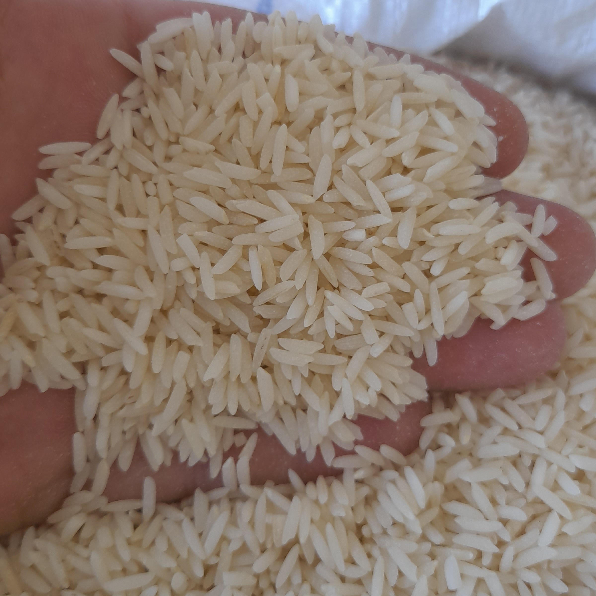 برنج هاشمی الک زده گیلان یک دست عطردار با پخت عالی پاک شده با دستگاه سورتینگ 