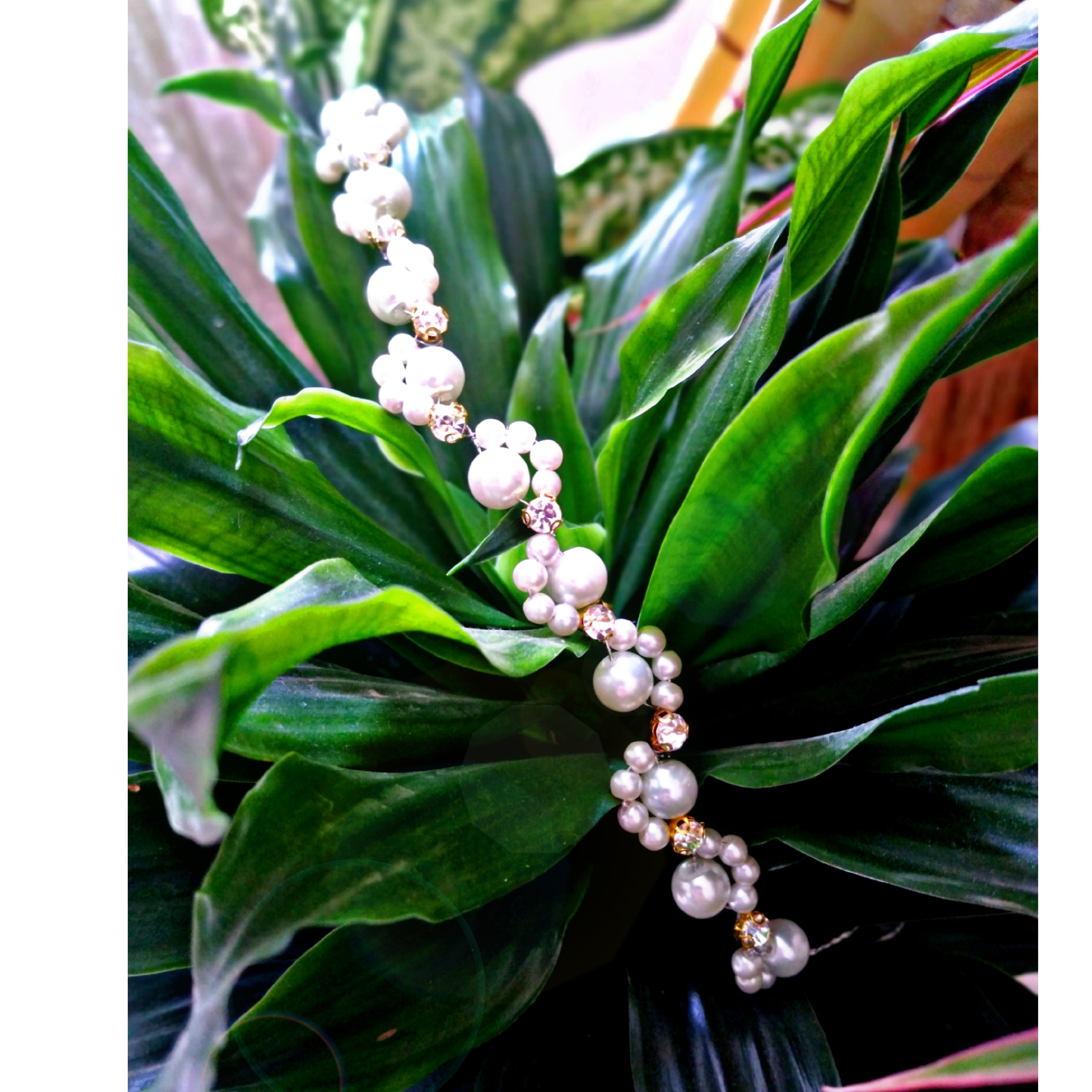 ریسه مرواریدی