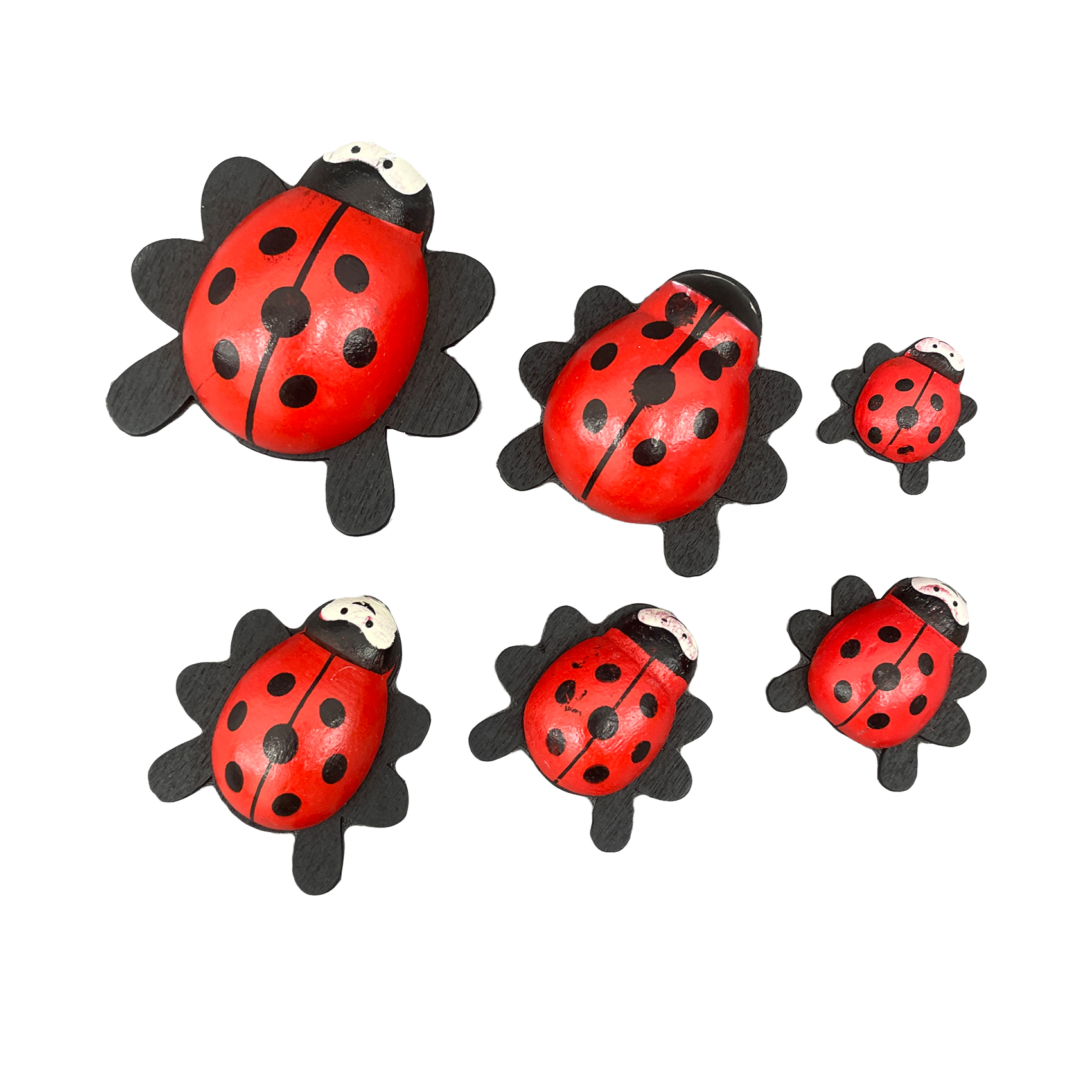 دکوری مدل کفشدوزک مجموعه 6 عددی