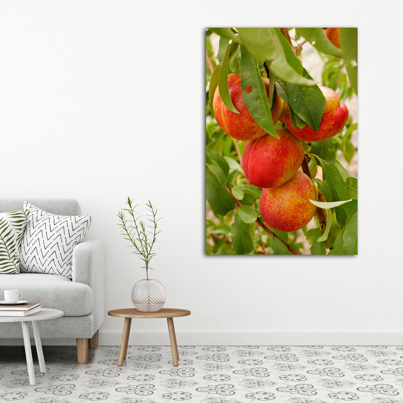 تابلو شاسی مدل میوه کد 38