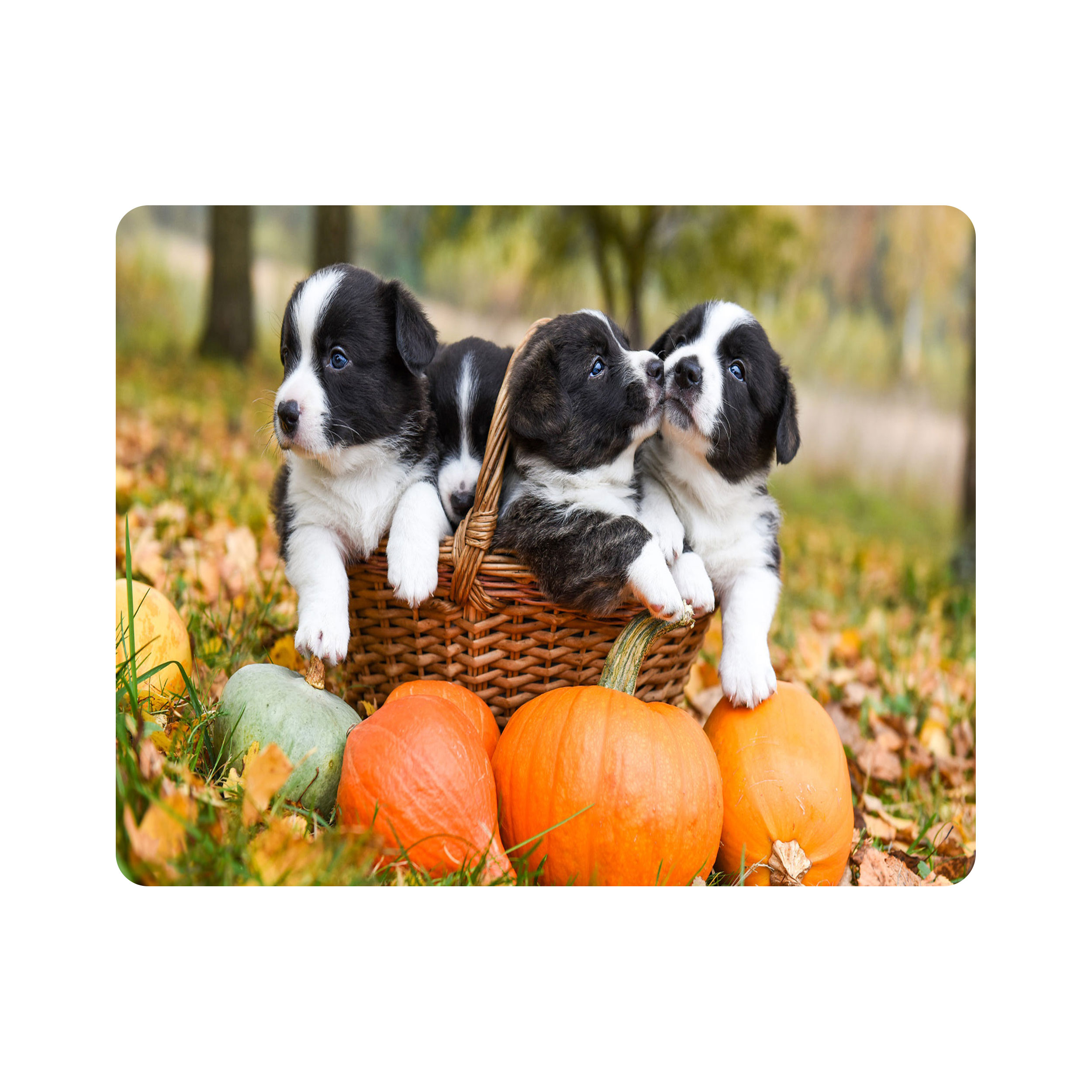 ماوس پد طرح سگ و سبد و کدو مدل T8038