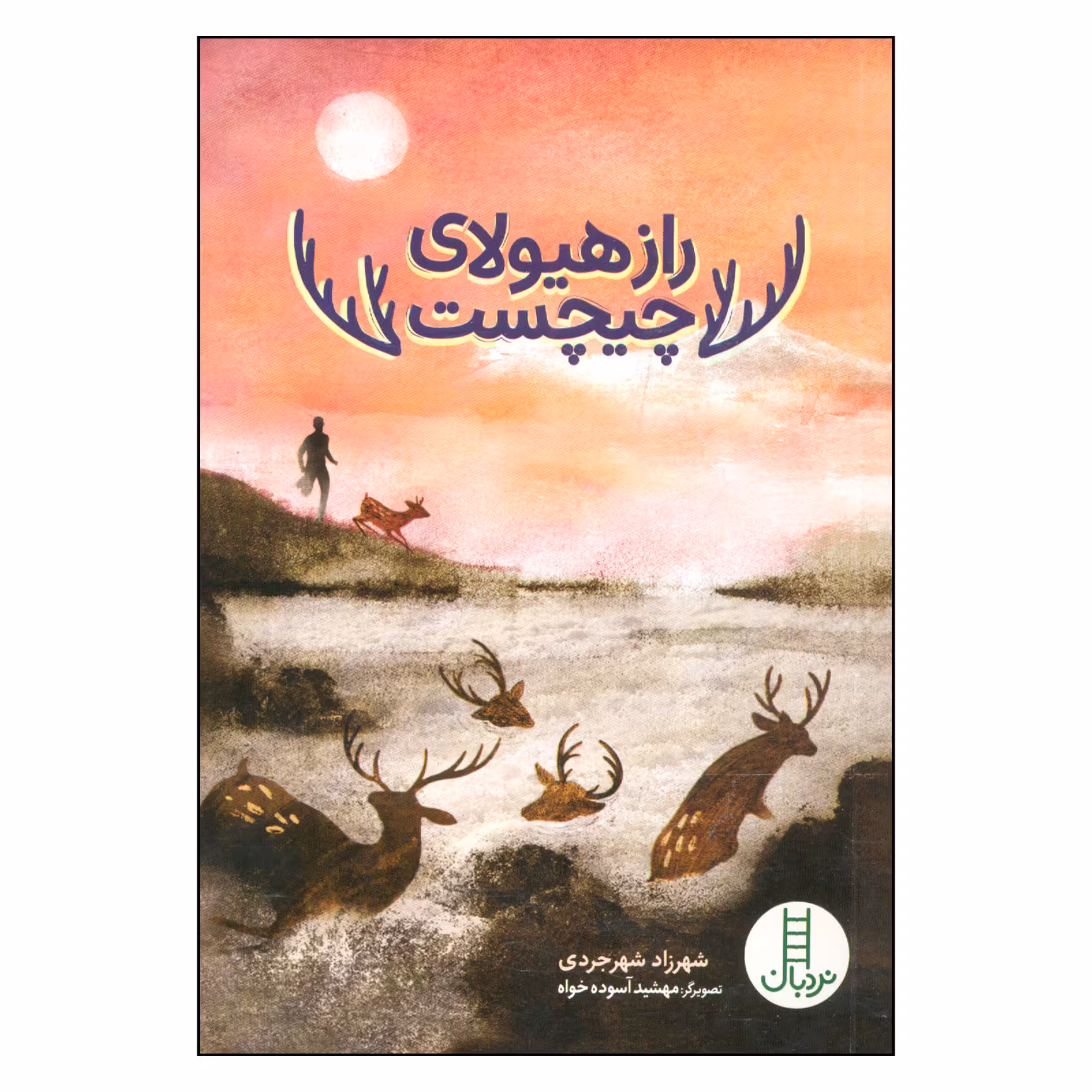 کتاب راز هیولای چیچست اثر شهرزاد شهرجردی انتشارات فنی ایران 