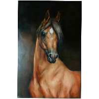 تابلو نقاشی رنگ روغن مدل اسب عربی کد 2
