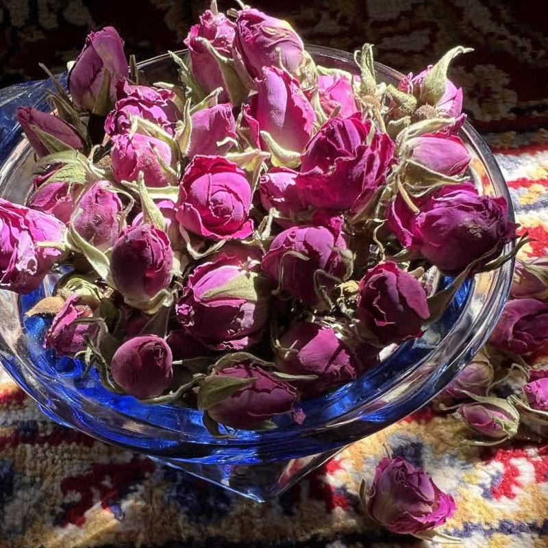 غنچه گل محمدی ممتاز با کیفیت عالی خوش رنگ 