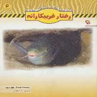 رفتار فریبکارانه (تهاجم و دفاع در جهان حیوانات 6)،(گلاسه) - ناشربوک | خرید آنلاین کتاب