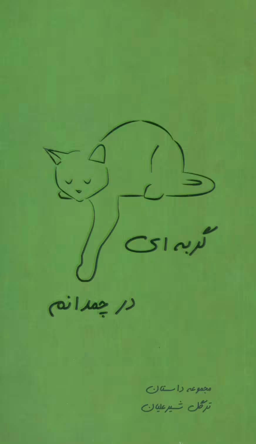 گربه ای در چمدانم (مجموعه داستان) - ناشربوک | خرید آنلاین کتاب