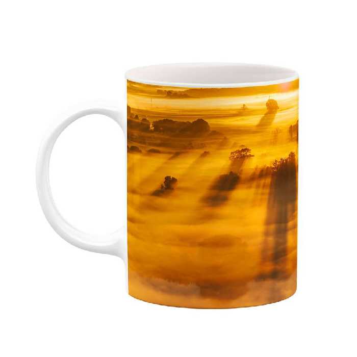 ماگ کاکتی طرح فانتزی مدل mgs15762