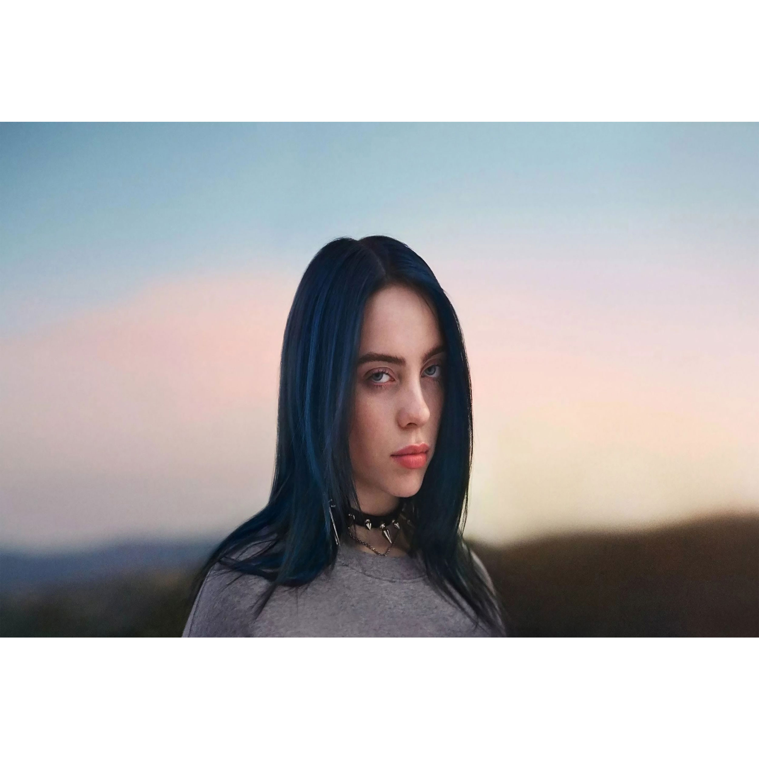 تابلو شاسی مدل بیلی آیلیش کد T5572