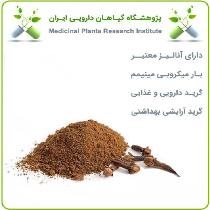 عصاره گل میخک خشک (پودری)