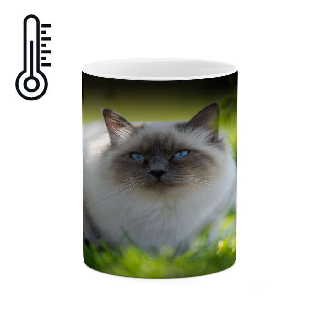 ماگ حرارتی کاکتی طرح گربه مدل mgh16864