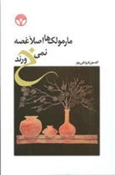 مارمولک ها اصلا غصه نمی خورند | مرکز فرهنگی آبی
