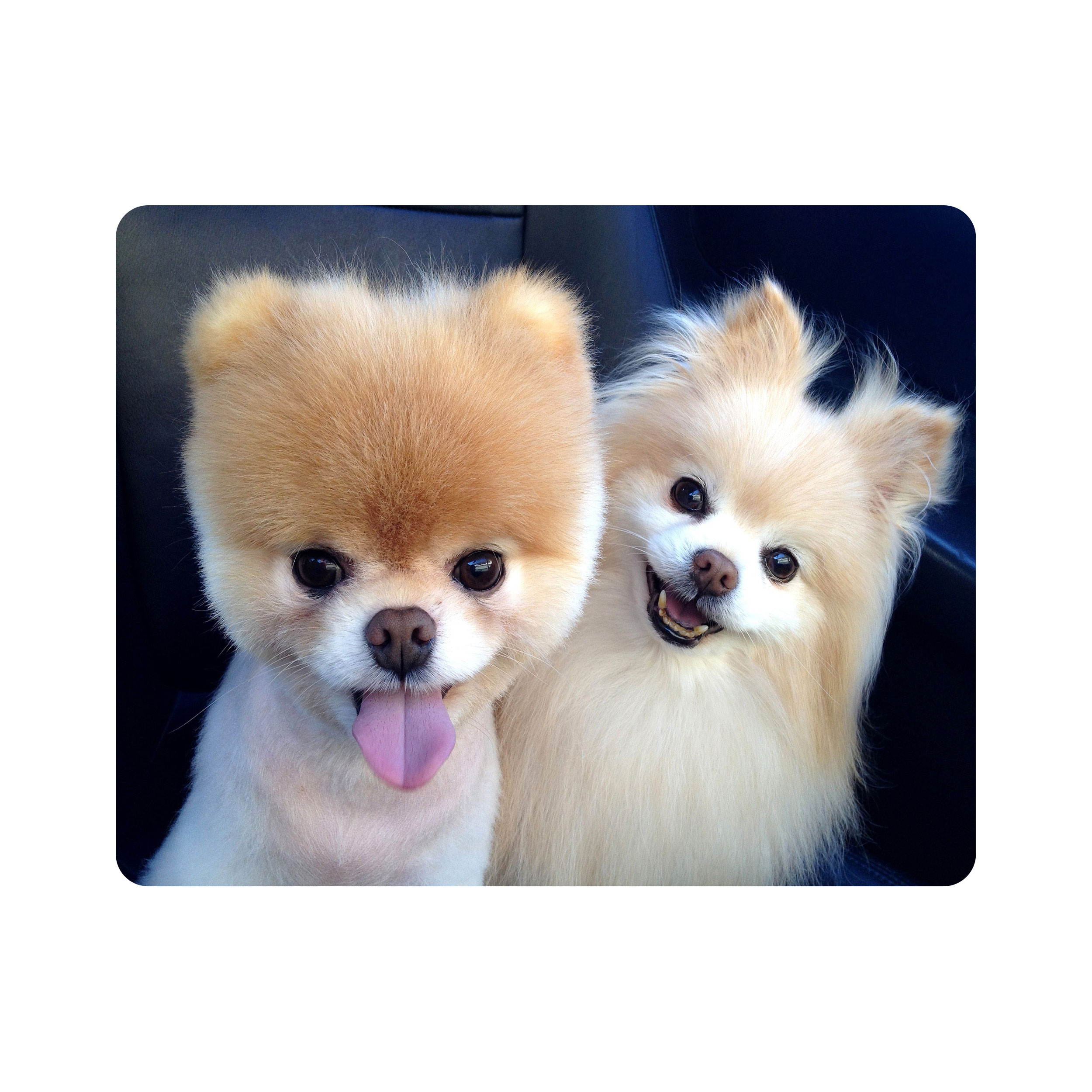 ماوس پد اطلس آبی طرح سگ مدل T1482