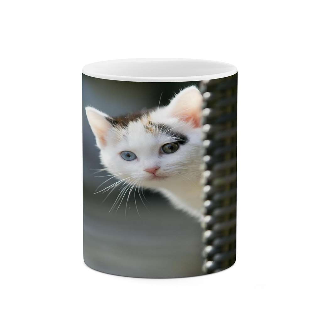 ماگ کاکتی طرح گربه مدل mgs14772