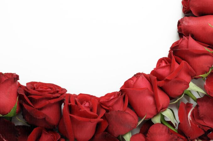 خرید و دانلود عکس Flower-Part-3 کد 17828 | پیک فاکس | Pic Fox