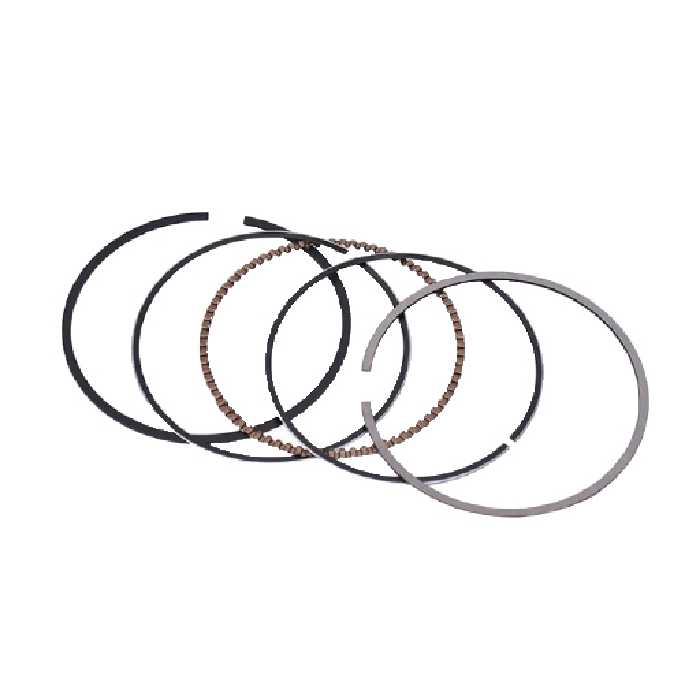 خرید رينگ موتور زانتيا آلمانی ماهله | اتوموبی